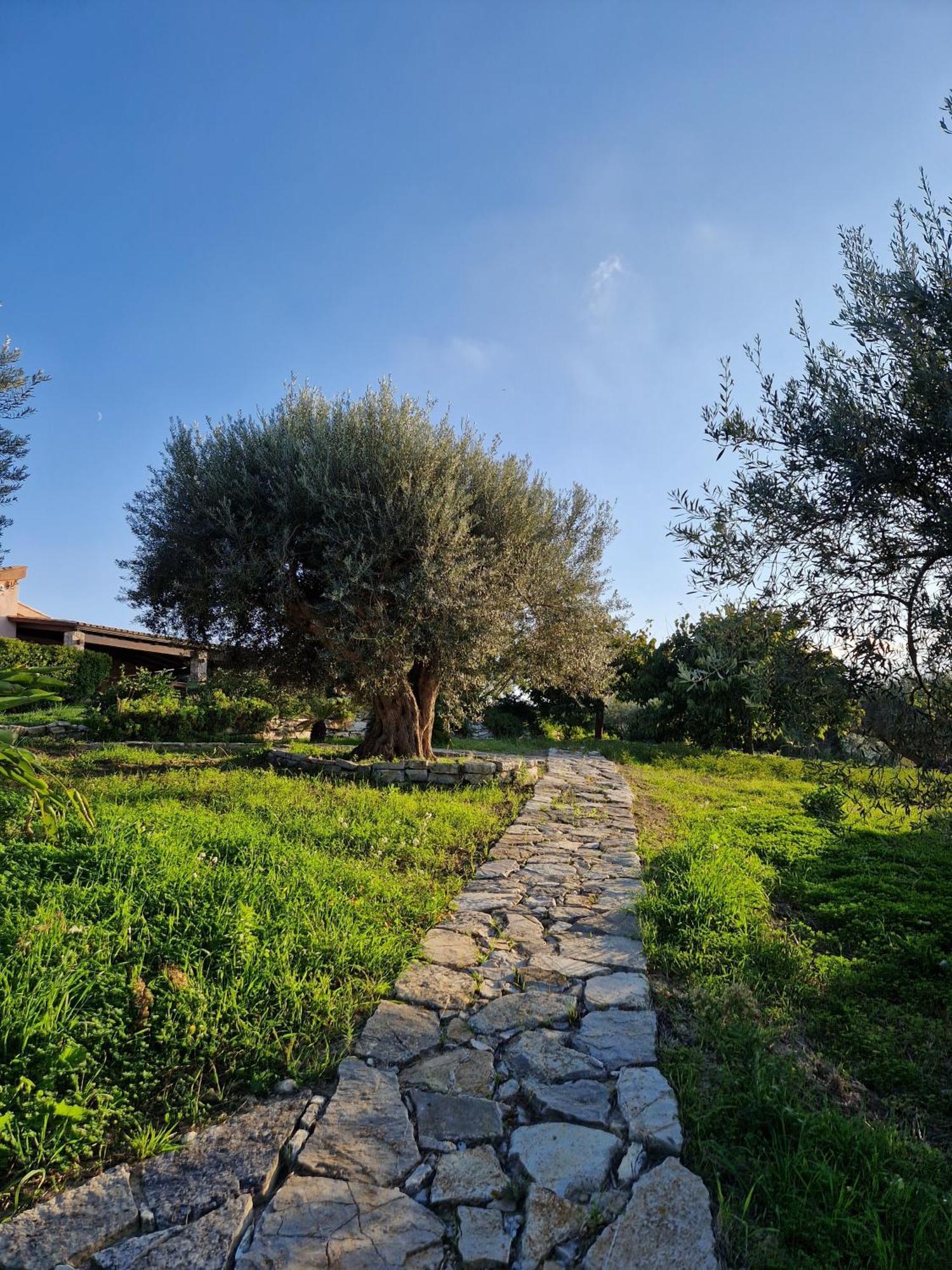 Villa Del Carrubo A Due Passi Dal Mare Di Cefalu Collesano المظهر الخارجي الصورة