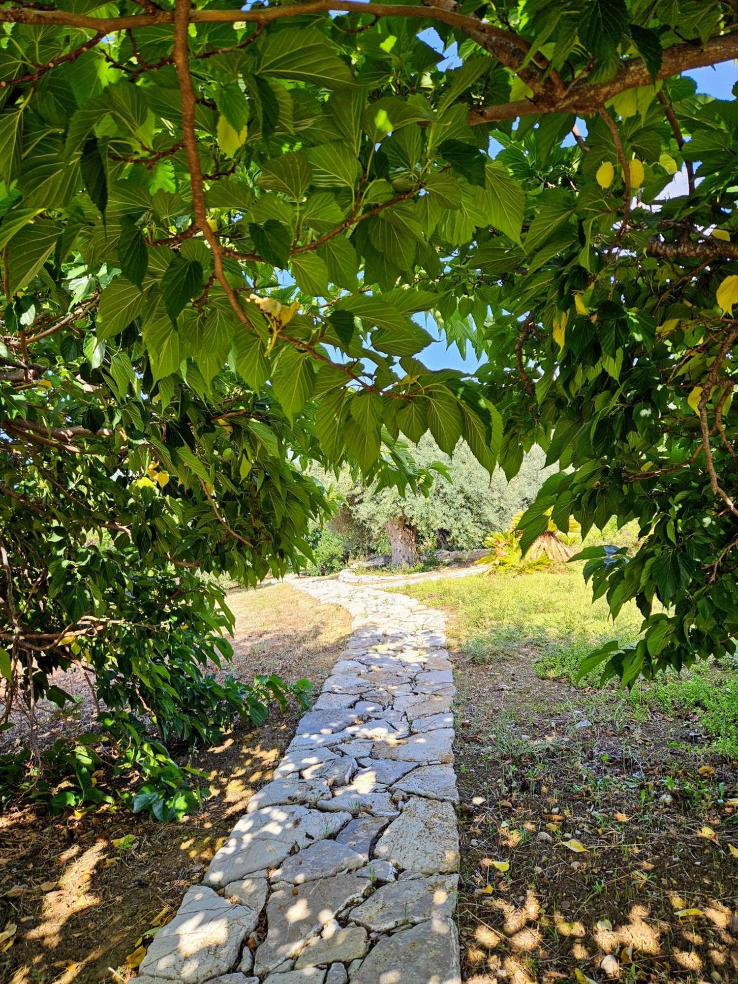 Villa Del Carrubo A Due Passi Dal Mare Di Cefalu Collesano المظهر الخارجي الصورة